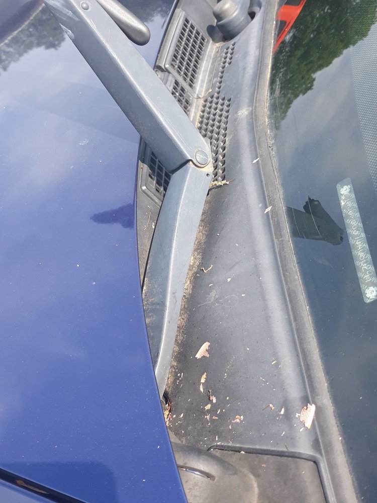 Photo of Wow Car Wash