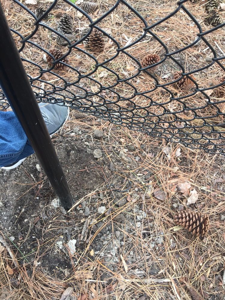 Photo of Gary's Fence