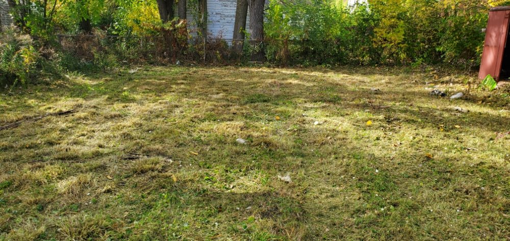 Photo of I Care Lawn Service