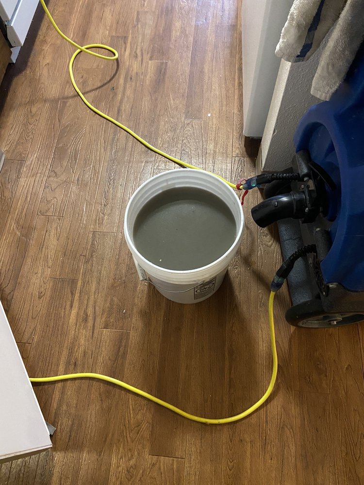 Photo of Aloha Carpet Cleaning