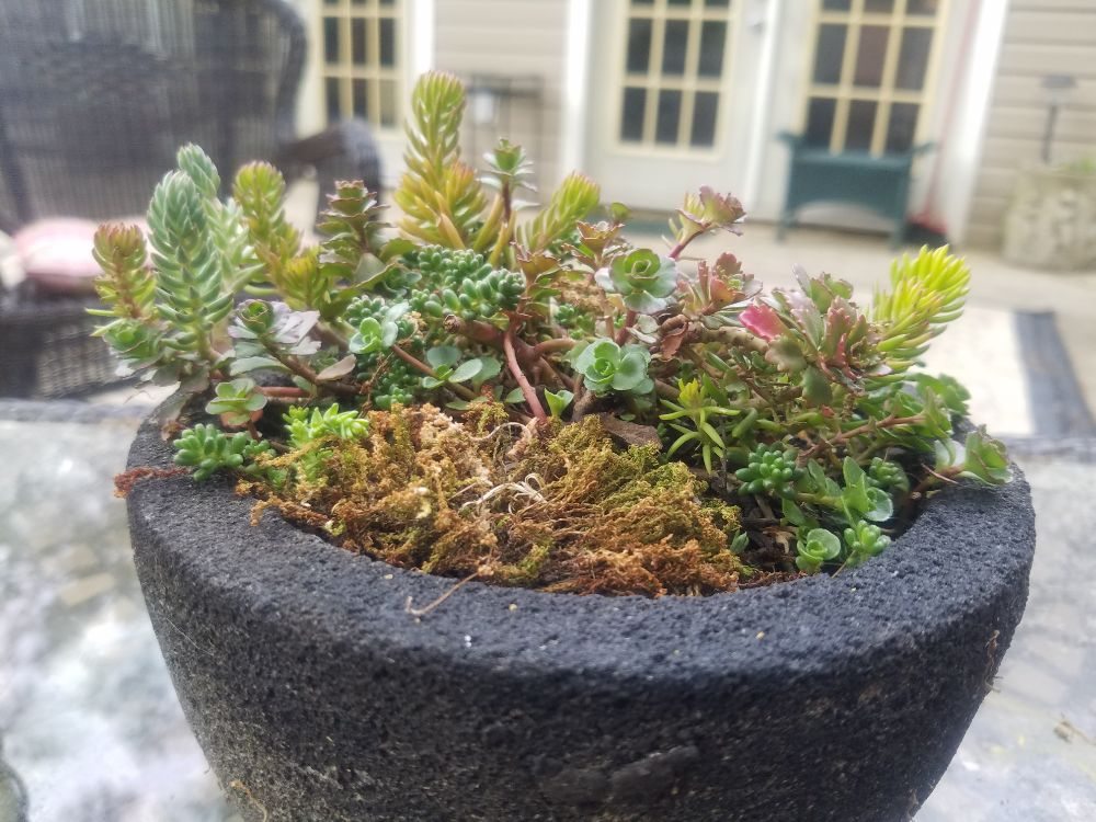 Photo of Town & Country Grounds Care