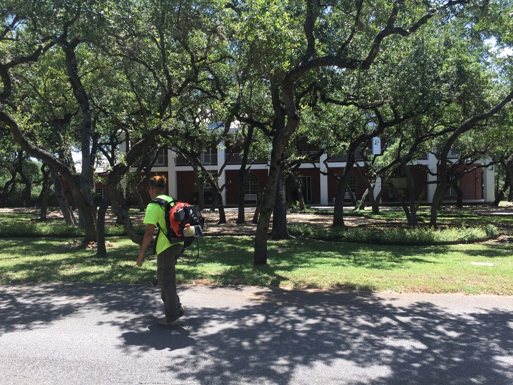 Photo of The Goat Lawn & Tree Services