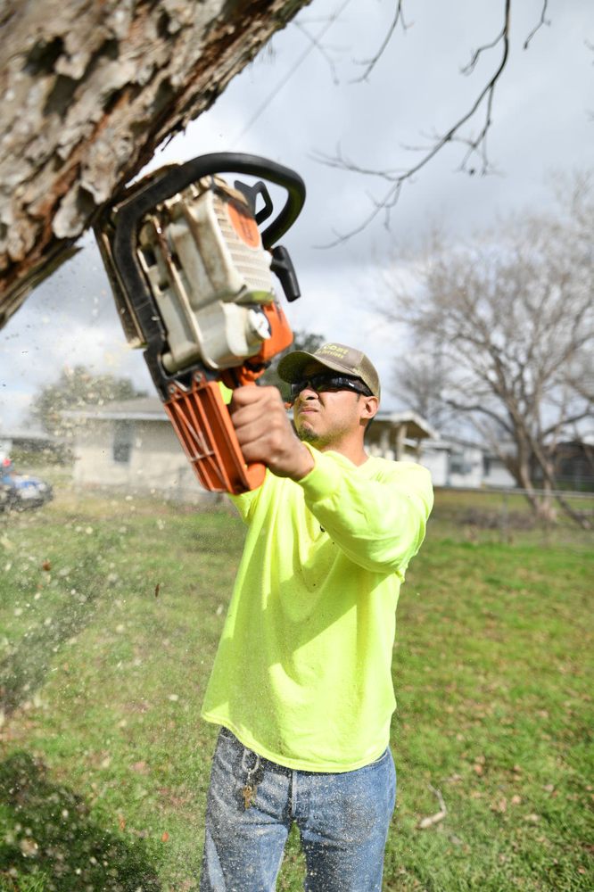 Photo of The Goat Lawn & Tree Services