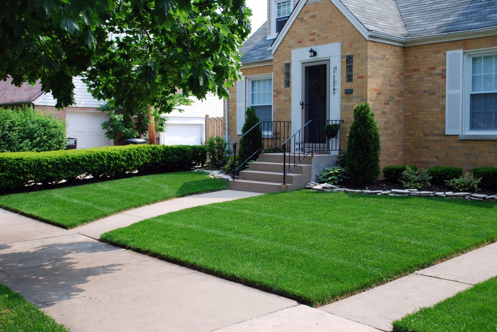 Photo of Green Landscape Solutions