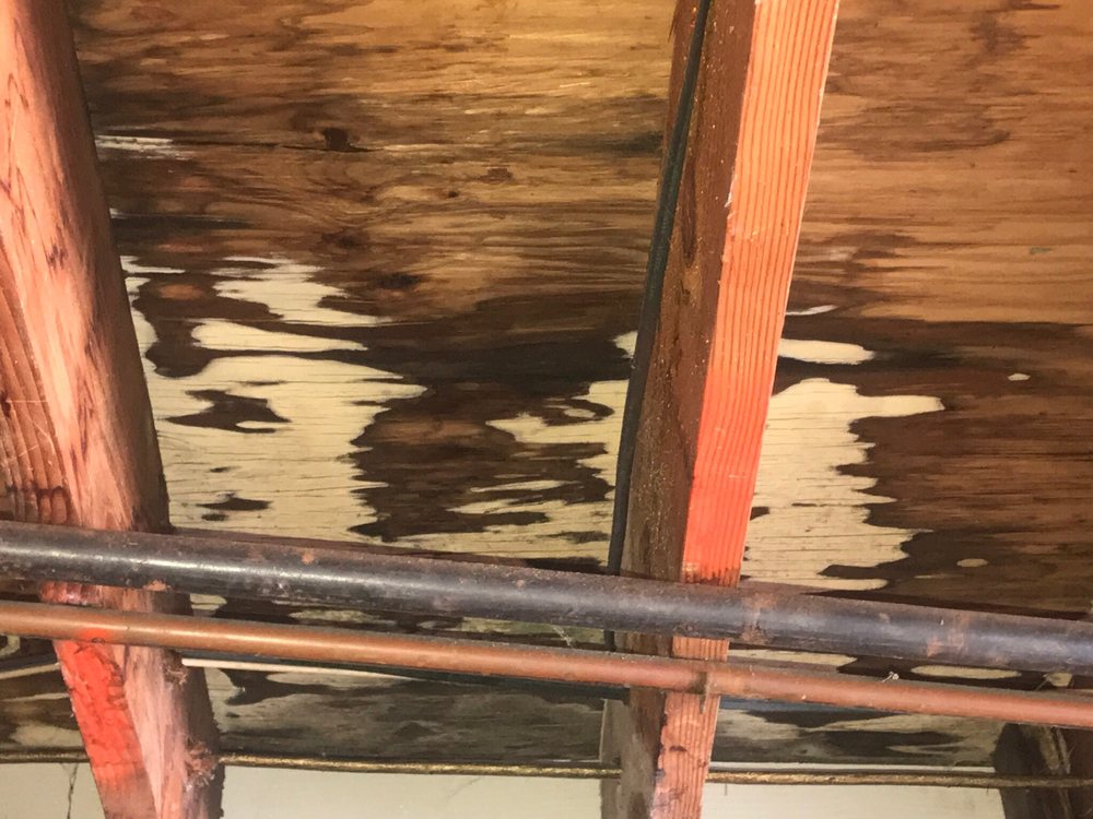Photo of APS Roofing
