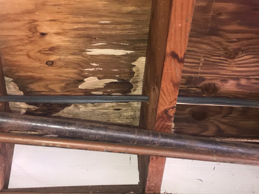 Photo of APS Roofing