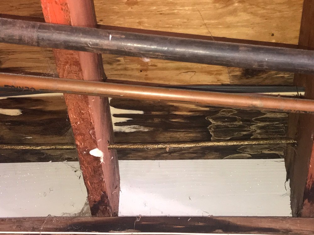 Photo of APS Roofing