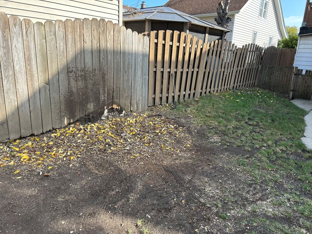 Photo of GrindNGo Stumps
