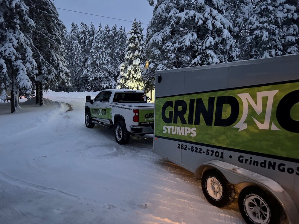 Photo of GrindNGo Stumps
