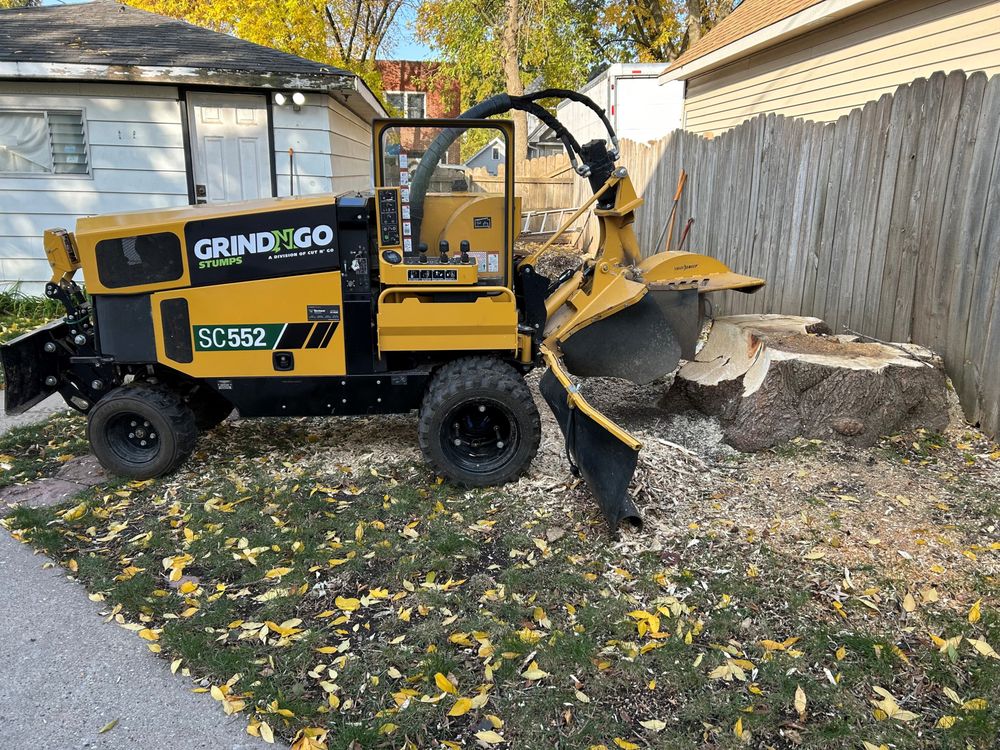 Photo of GrindNGo Stumps