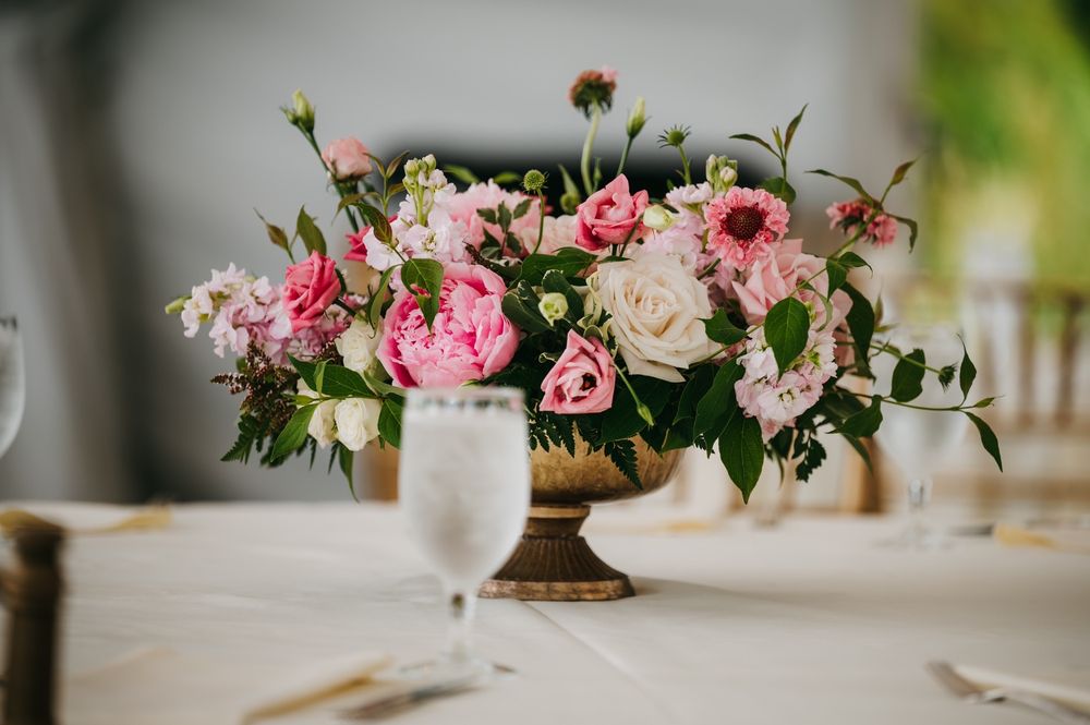 Photo of Flora Nova Design