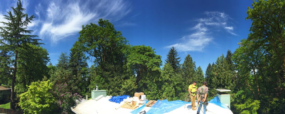 Photo of IBEX Roof