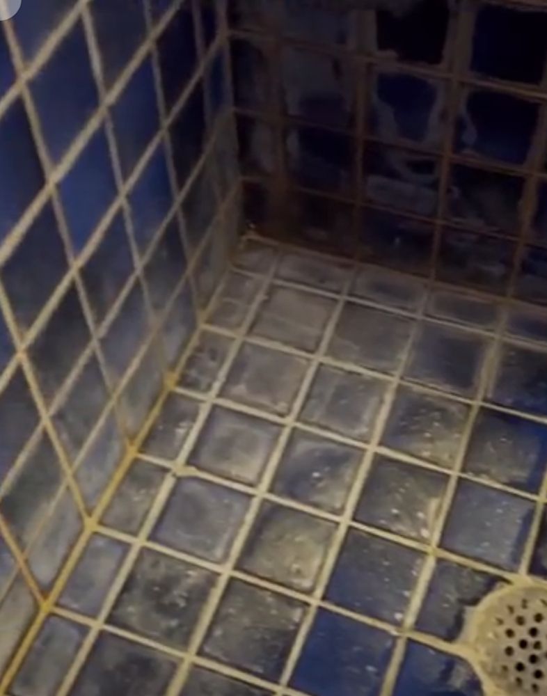 Photo of The Grout Doctor - Scottsdale