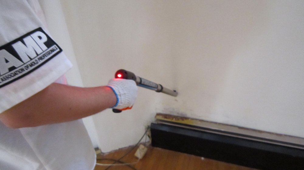 Photo of Indoor Mold Specialist