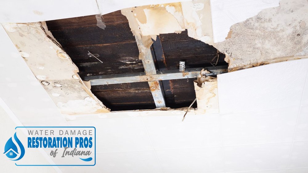 Photo of Water Damage Restoration Pros of Indiana
