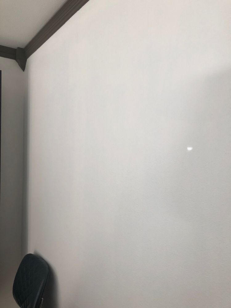 Photo of The Lone Painter