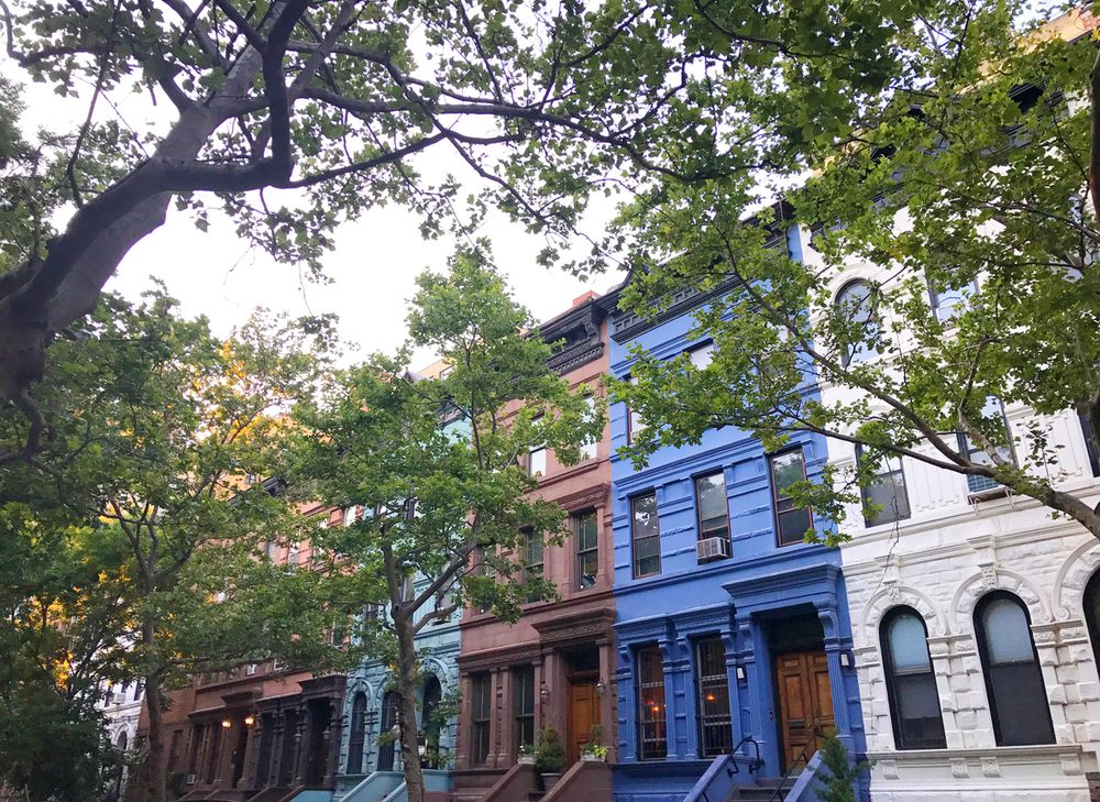 Photo of Guardian Property Management of Brooklyn