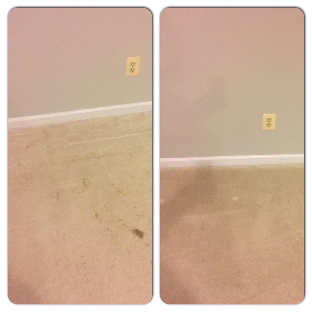 Photo of Bring Back My Floors