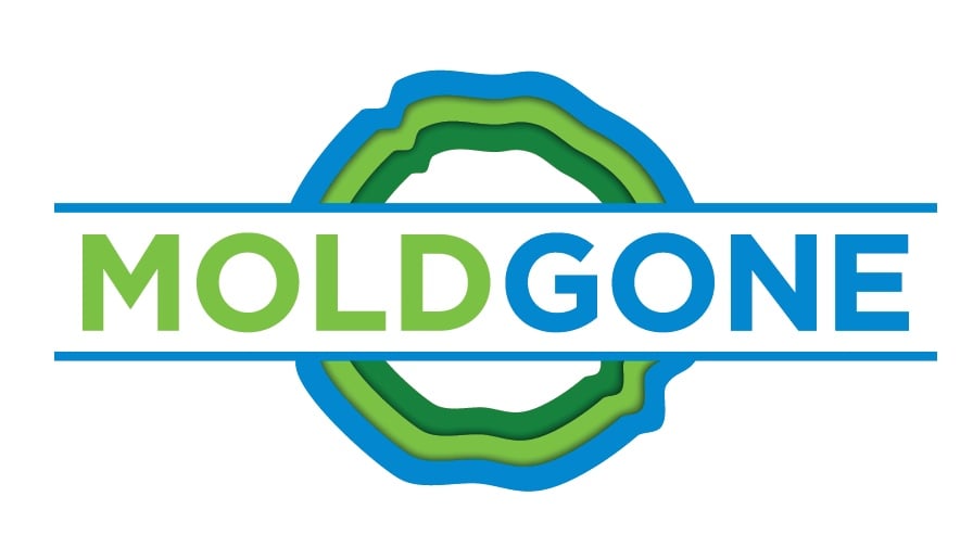 Photo of MoldGone