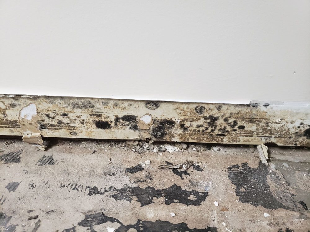 Photo of PuroClean Restoration Services