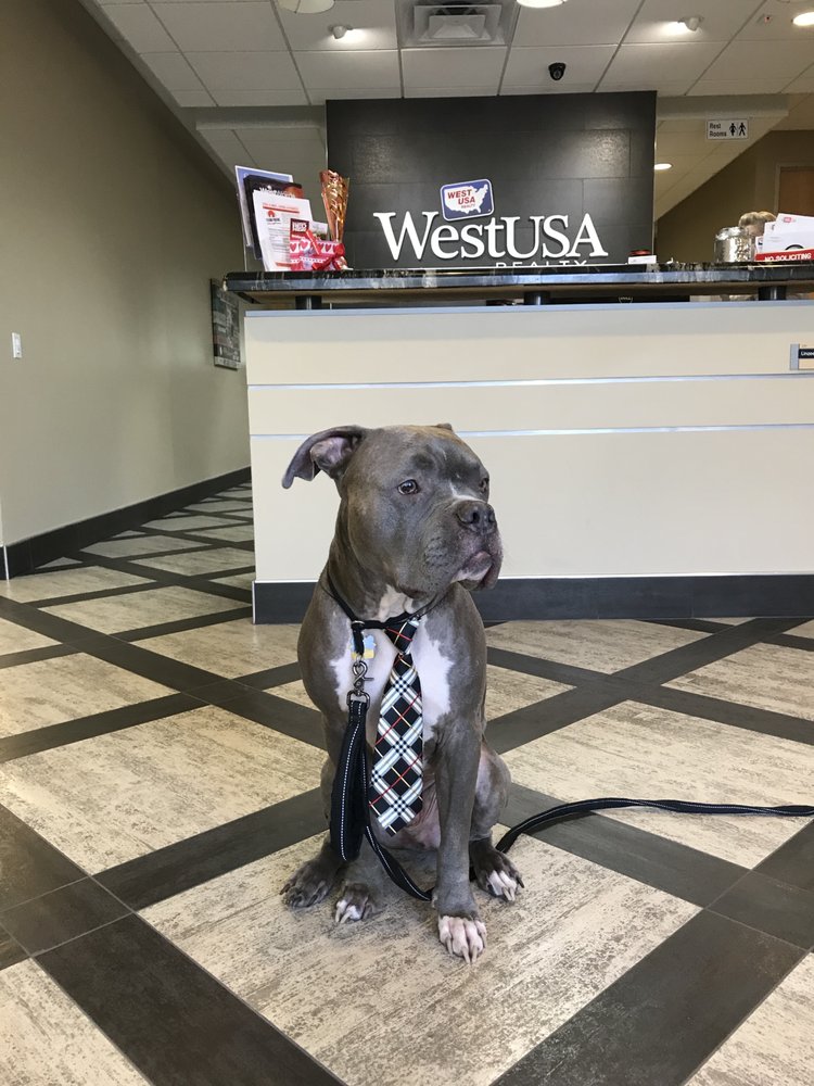 Photo of Jacklyn Whitehead | West USA Realty