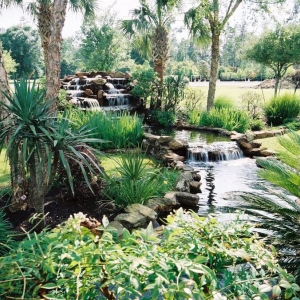 Photo of New Yards Landscape Company