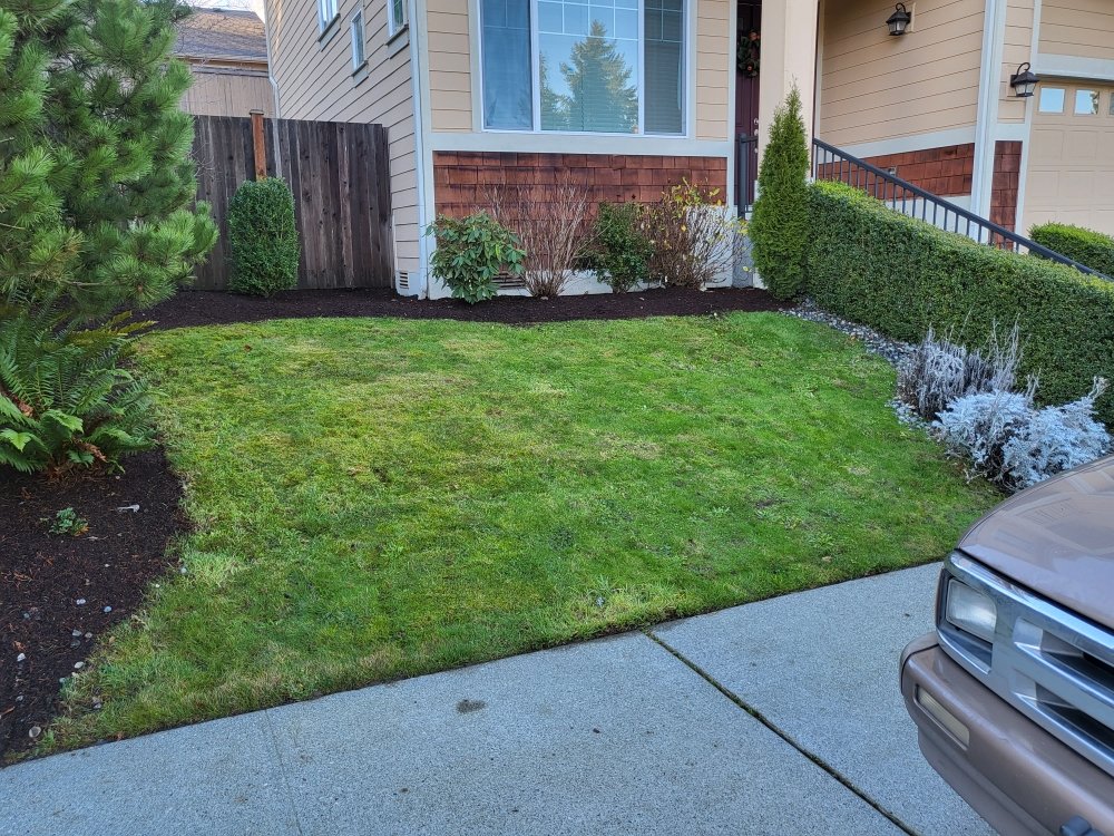 Photo of Independent Martinez Landscaping