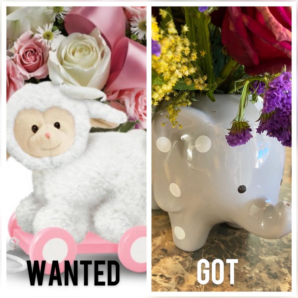 Photo of Magical Moments Flowers and Gifts