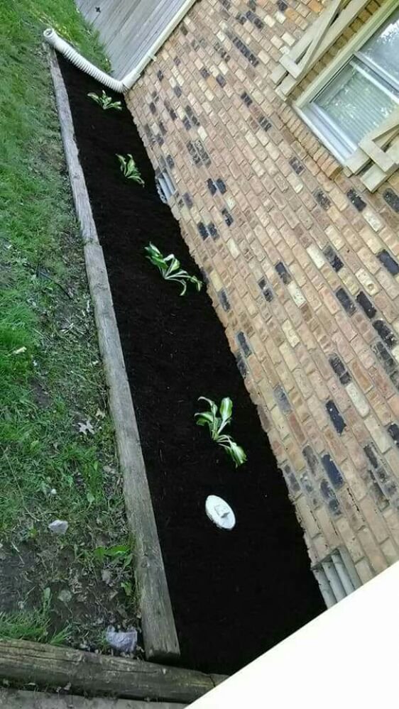 Photo of Oliver Landscaping