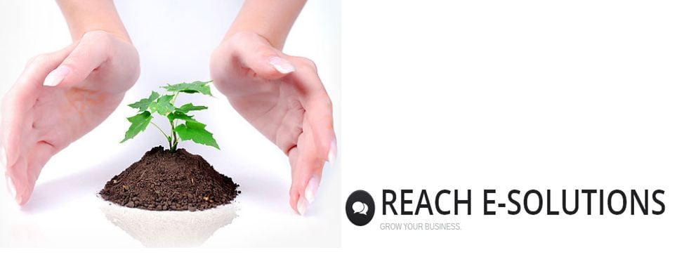 Photo of Reach Web Solutions