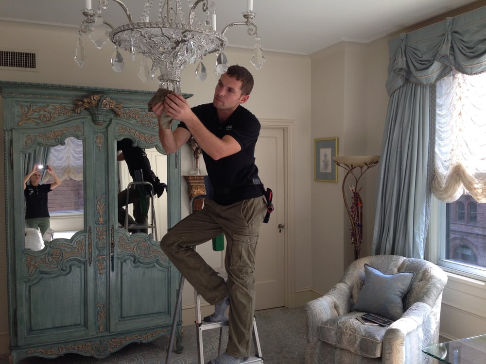 Photo of Little Bees Cleaning Services