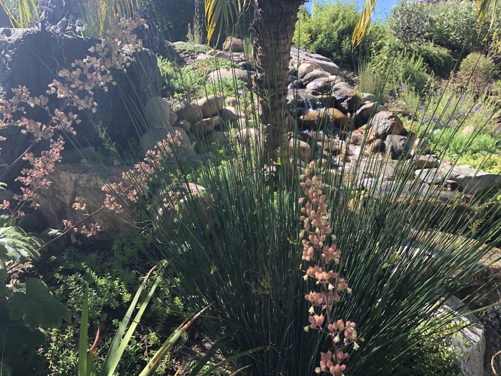 Photo of Gardens for the Future