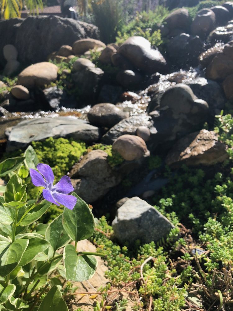 Photo of Gardens for the Future