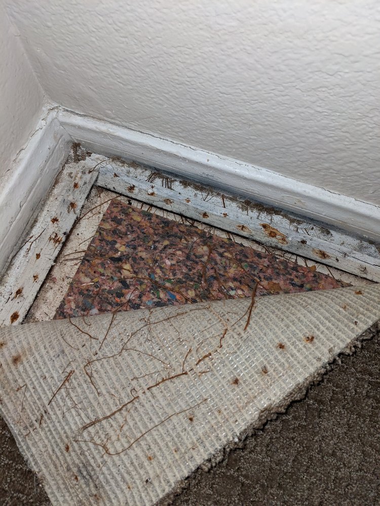 Photo of Mr Tile