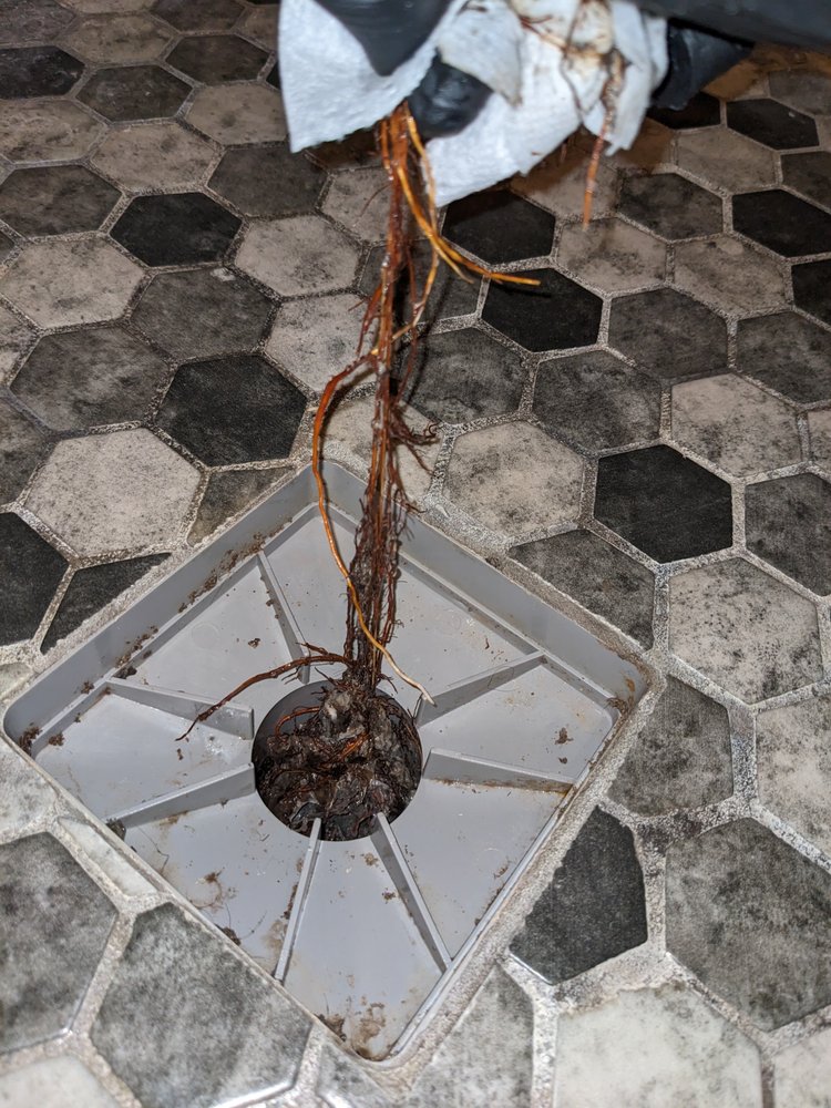 Photo of Mr Tile