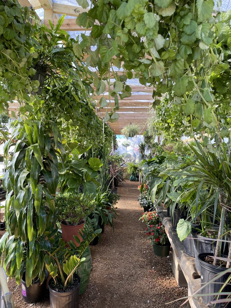 Photo of Green Planet Scapes of Austin
