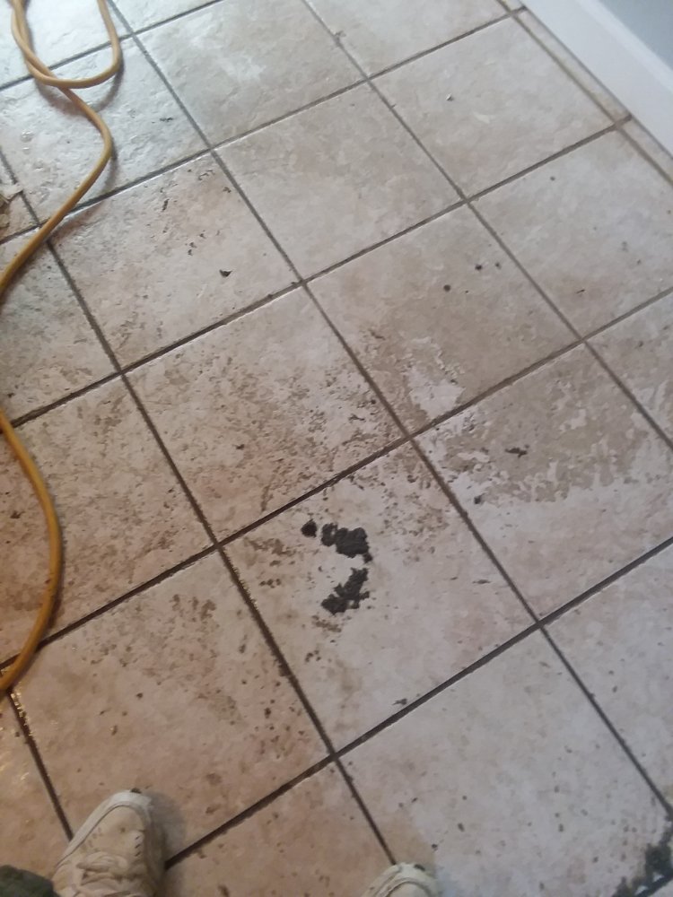 Photo of Hoffmann Carpet Cleaning