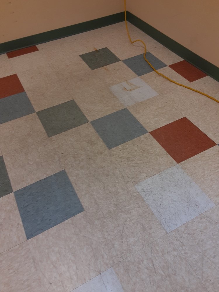 Photo of Hoffmann Carpet Cleaning