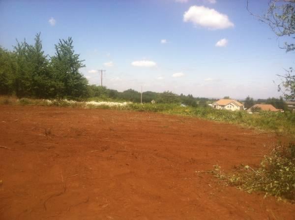 Photo of Anthony Excavation & Tree Services