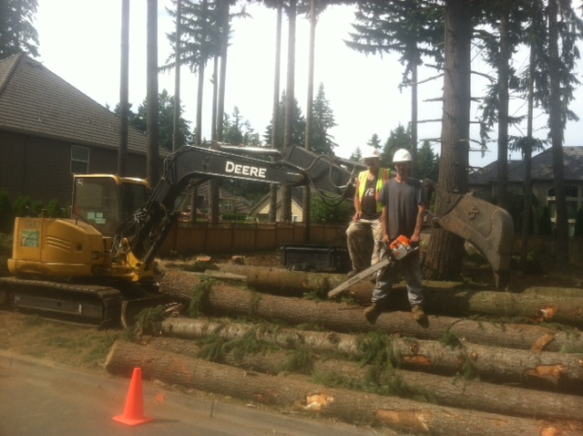 Photo of Anthony Excavation & Tree Services