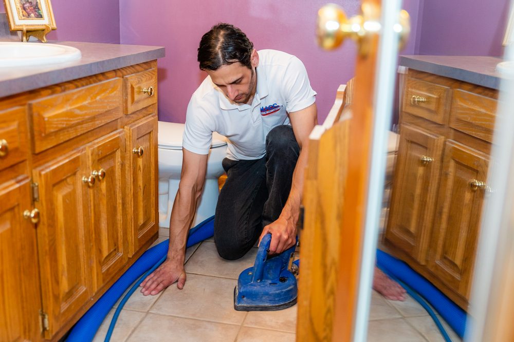 Photo of Milwaukee Area Carpet Cleaning