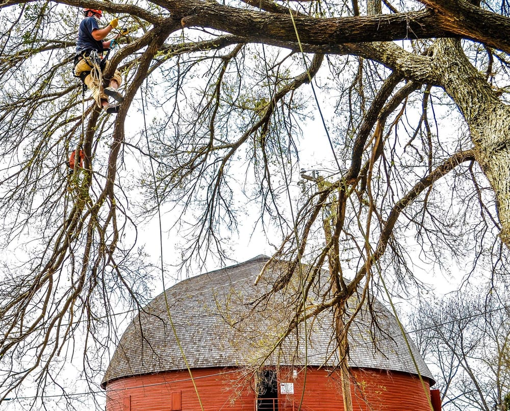Photo of Earth and Arbor Tree Service