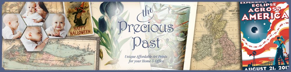 Photo of ThePreciousPast