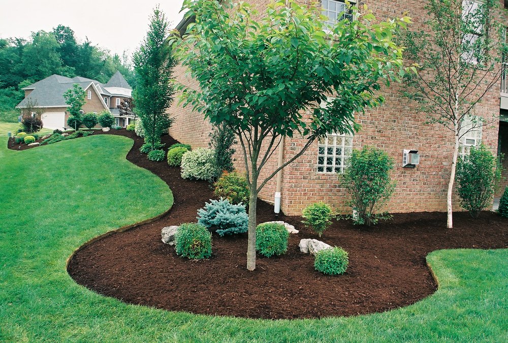 Photo of Total Renovation Landscaping