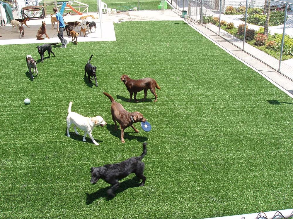 Photo of EasyTurf