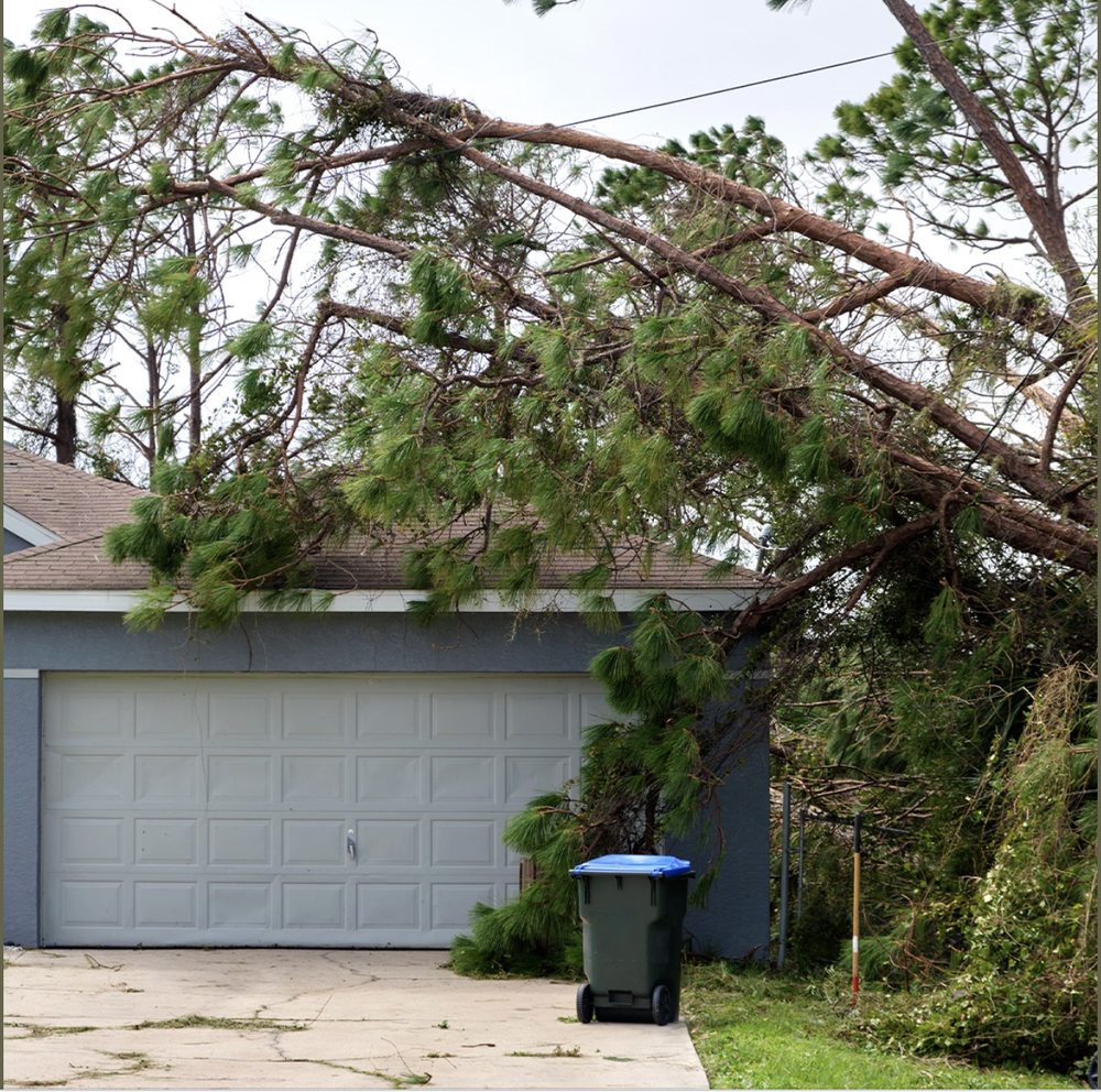 Photo of Farmers Insurance - Valdez Casis