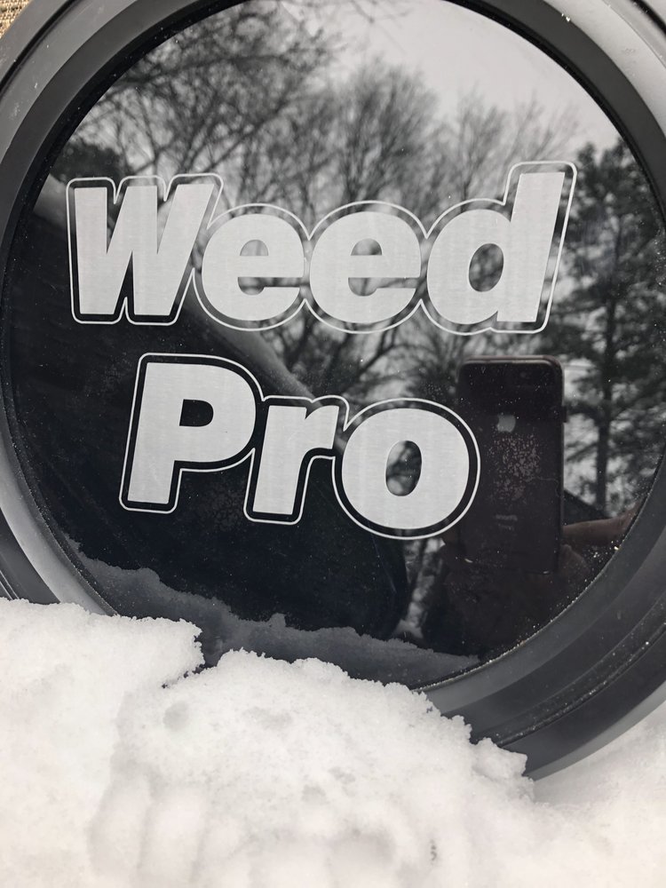 Photo of Weed Pro