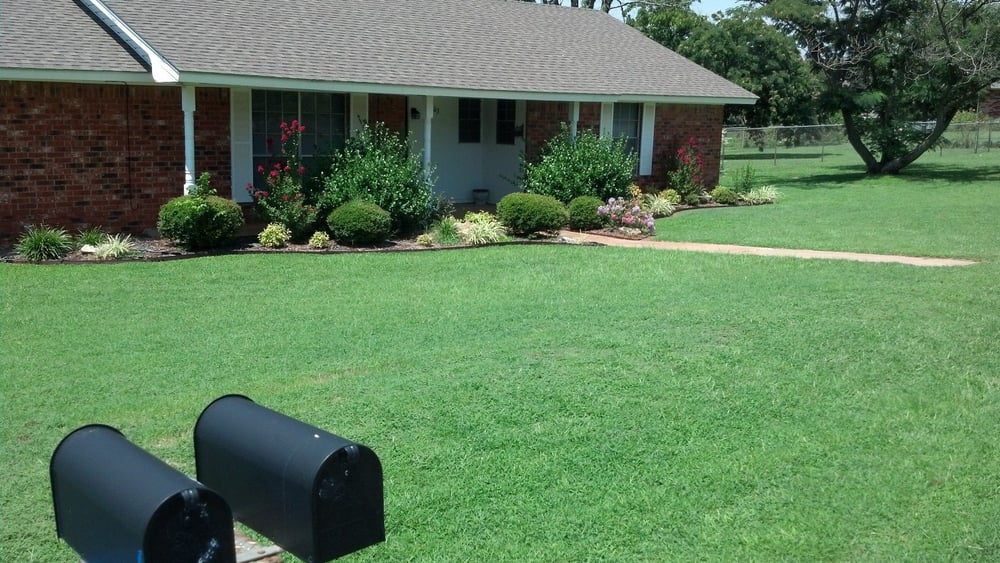 Photo of A Cut Above Lawn and Tree Service