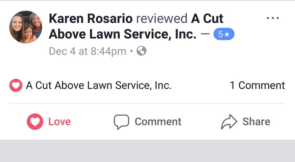 Photo of A Cut Above Lawn and Tree Service