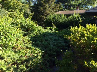 Photo of Jackson Maintenance and Landscape Design